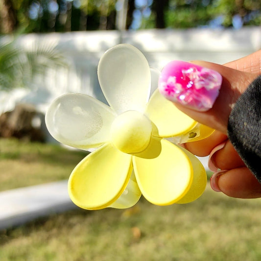 Frosted Daisy Hair Claw