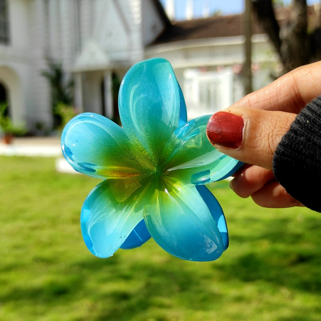 Pinteresty Hair Claw