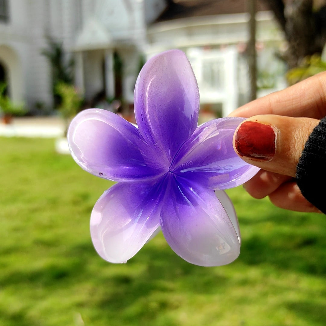 Pinteresty Hair Claw