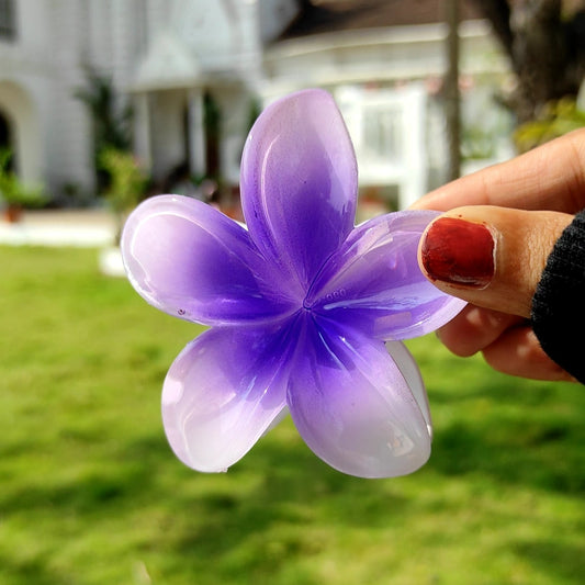 Pinteresty Hair Claw