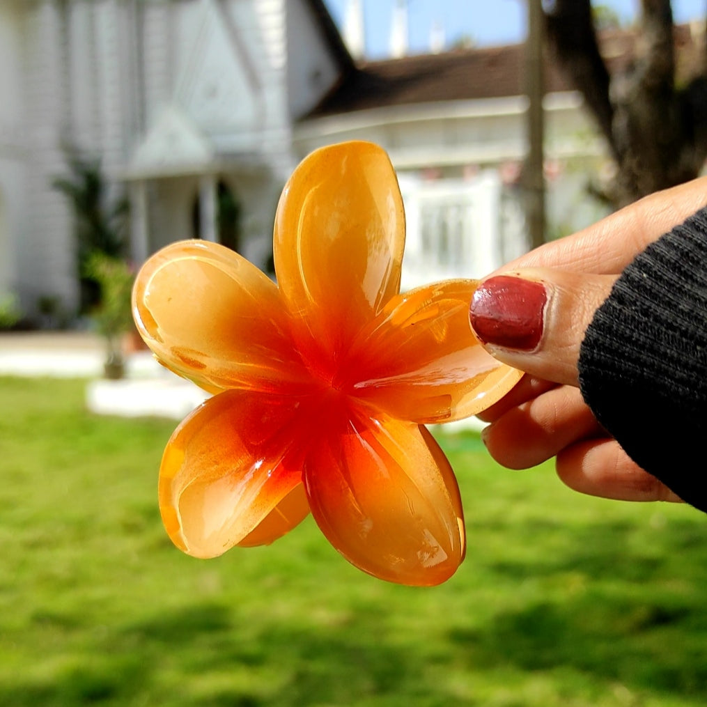 Pinteresty Hair Claw