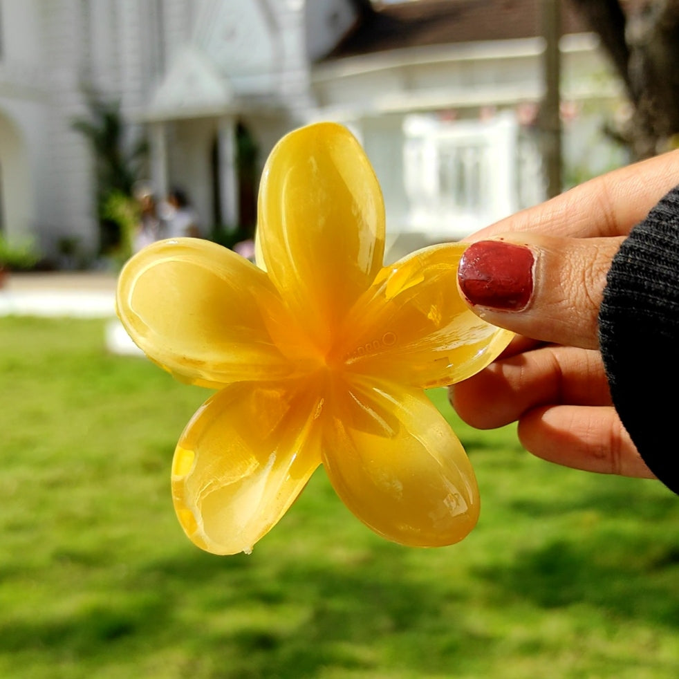 Pinteresty Hair Claw